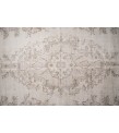 5.7 X 9.1 Ft.. 175x280 cm Pastel Colors high Pile Designer rug , Living Room Rug